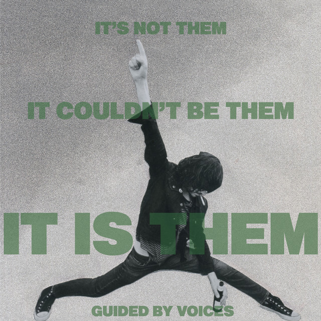 It's Not Them. It Couldn't Be Them. It Is Them! album cover