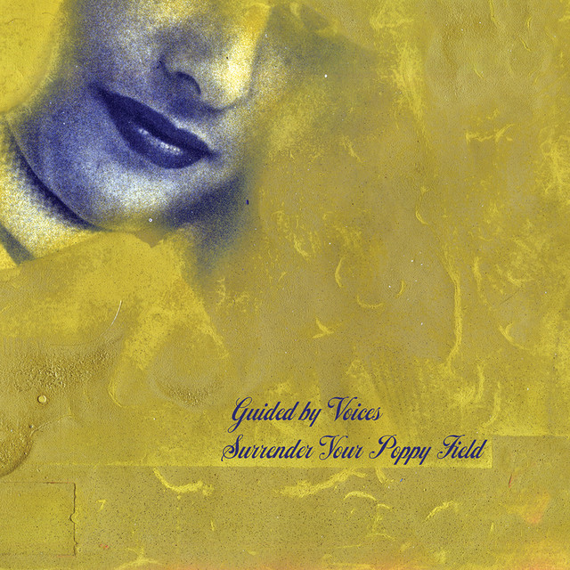 Surrender Your Poppy Field album cover
