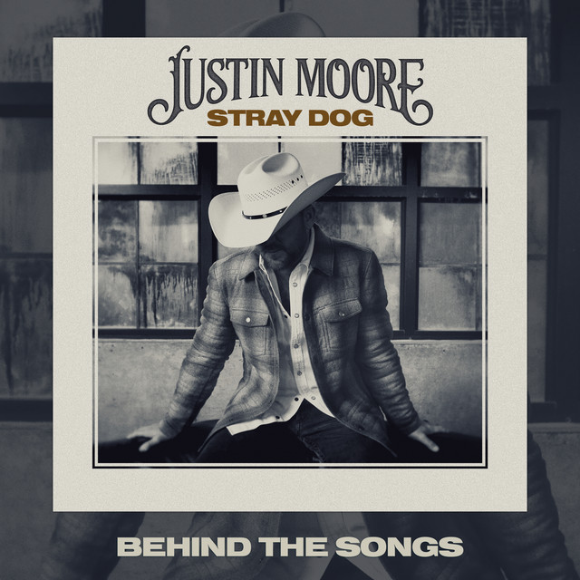 Stray Dog (Behind The Songs) album cover