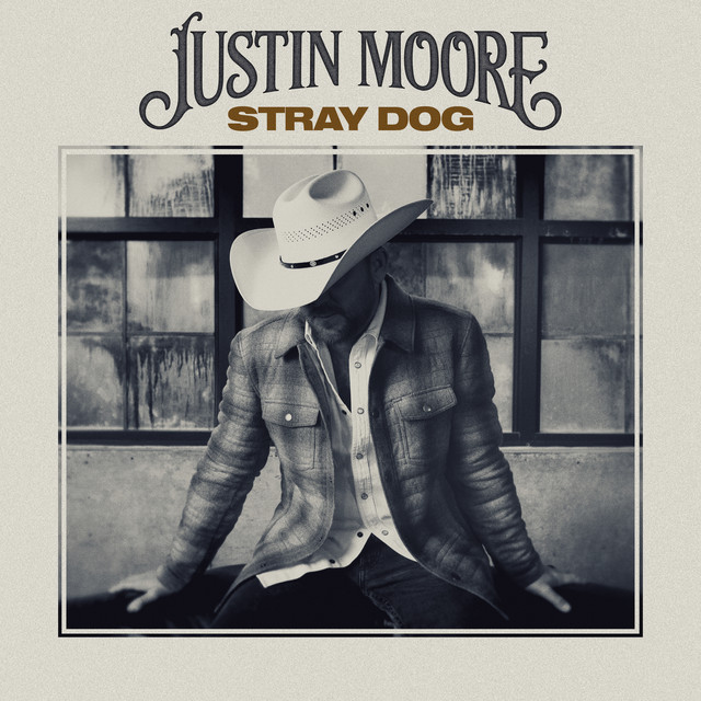 Stray Dog album cover