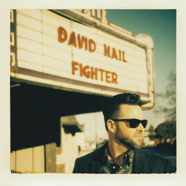 Fighter album cover