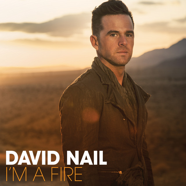 I'm A Fire album cover