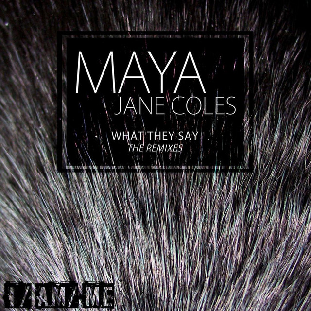 What They Say (The Remixes) album cover