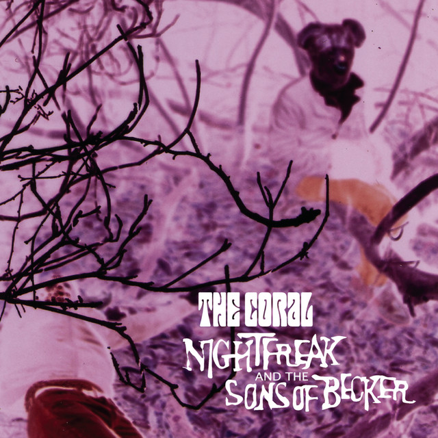 Nightfreak And The Sons Of Becker album cover