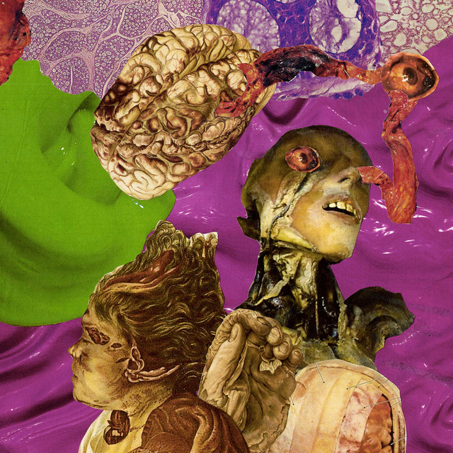Ableton Live as heard on Colorblind by Getter (2018)