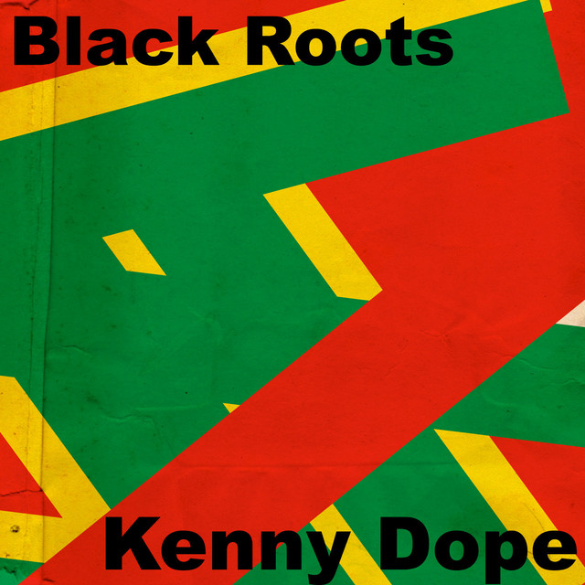Black Roots album cover
