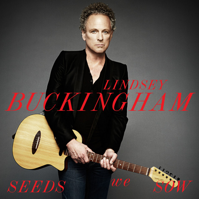 Turner Model 1 Solid Body as heard on Seeds We Sow by Lindsey Buckingham (2011)