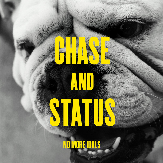 No More Idols album cover
