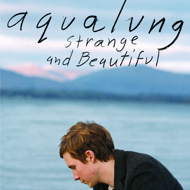 Strange & Beautiful album cover