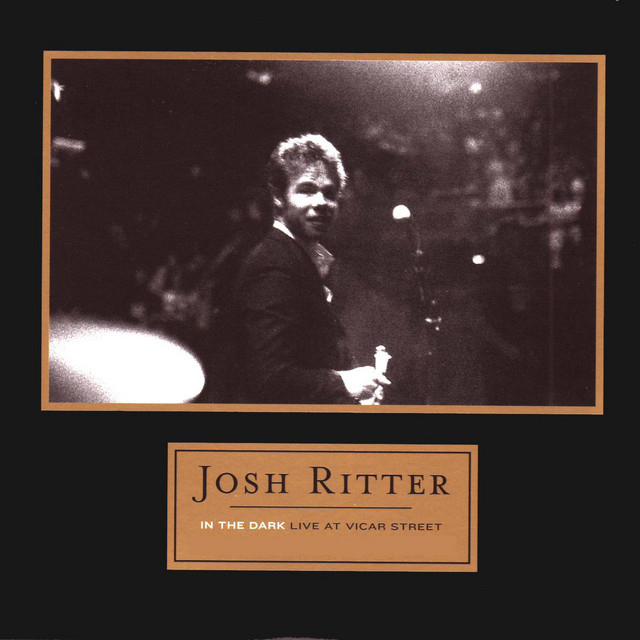 In the Dark: Live at Vicar Street album cover
