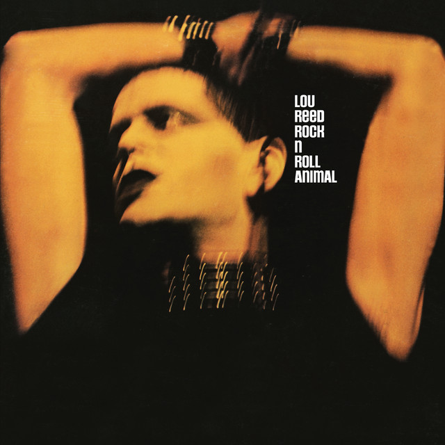 Rock 'n' Roll Animal (Live) album cover