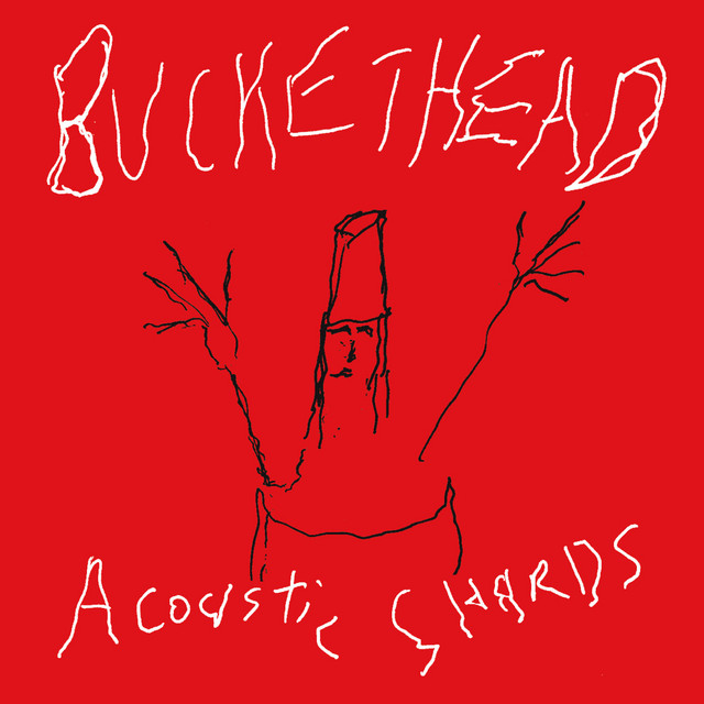 Acoustic Shards album cover
