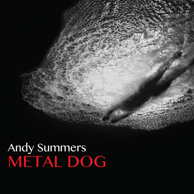 Metal Dog album cover