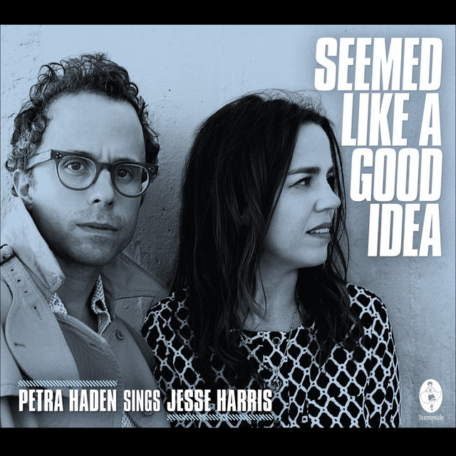 Seemed Like a Good Idea - Petra Haden Sings Jesse Harris album cover