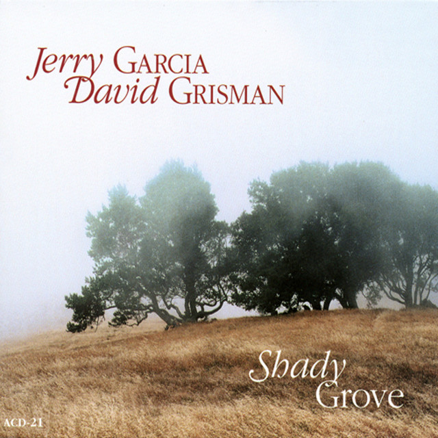 Shady Grove album cover