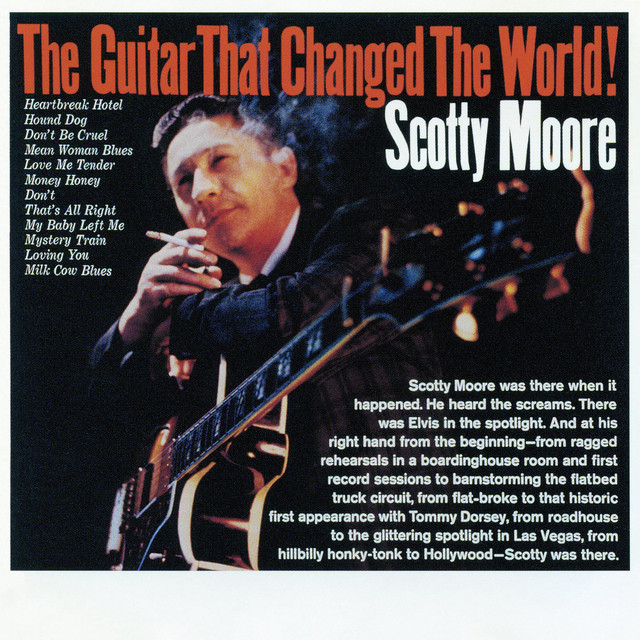The Guitar That Changed The World! album cover