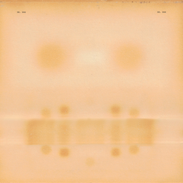 Dr. Dog album cover