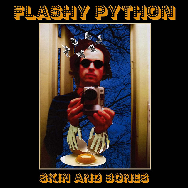 Skin and Bones album cover