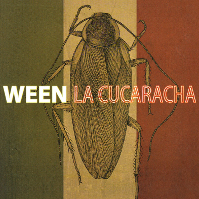 Fender Stratocaster Electric Guitar as heard on La Cucaracha by Ween (2007)