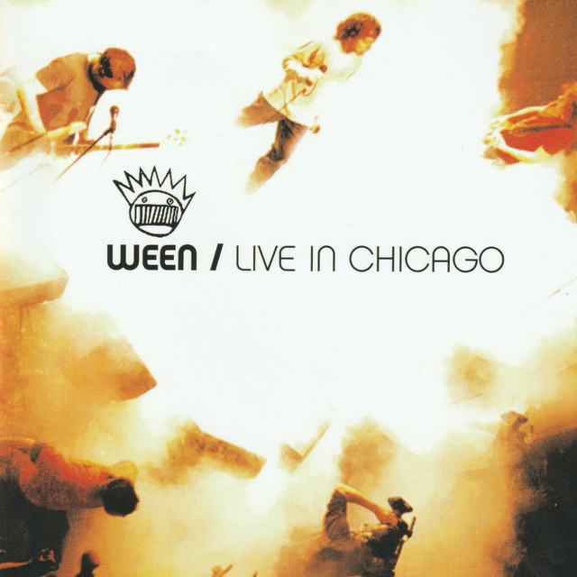 Fender Stratocaster Electric Guitar as heard on Live In Chicago by Ween (2004)