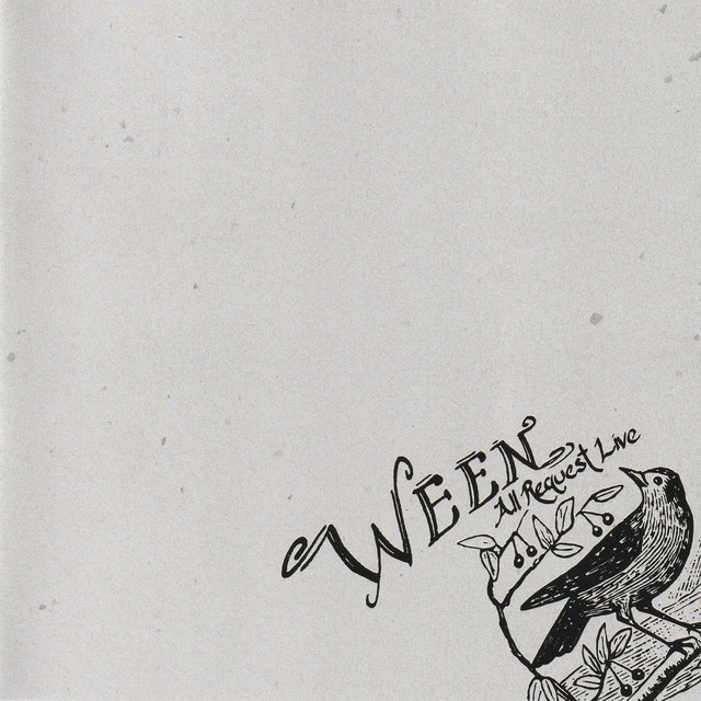 Fender Stratocaster Electric Guitar as heard on All Request Live by Ween (2003)