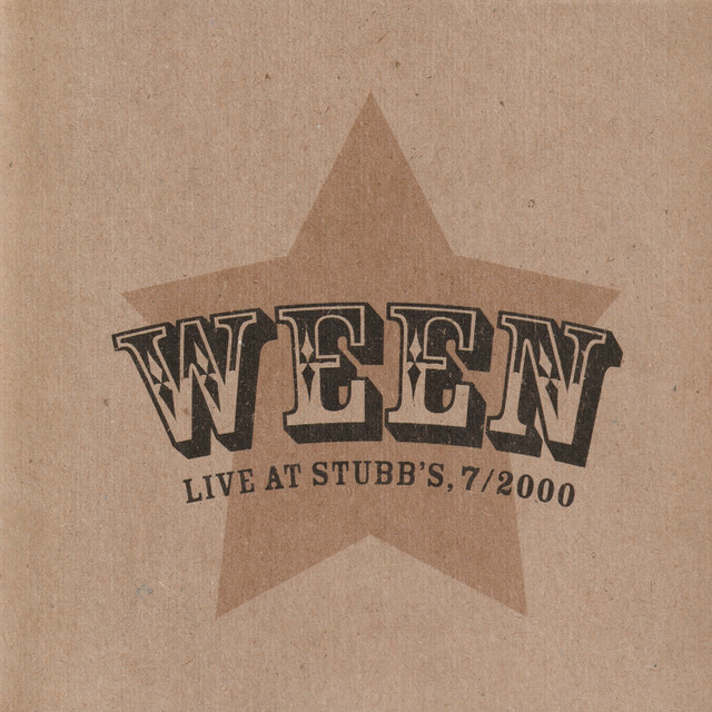 Fender Stratocaster Electric Guitar as heard on Live at Stubb's, 7/2000 by Ween (2003)