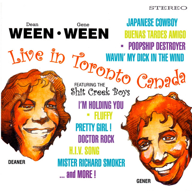 Fender Stratocaster Electric Guitar as heard on Live In Toronto Canada (feat. The Shit Creek Boys) by Ween (2001)