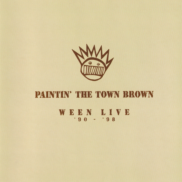 Fender Stratocaster Electric Guitar as heard on Paintin' The Town Brown (Live) by Ween (1999)