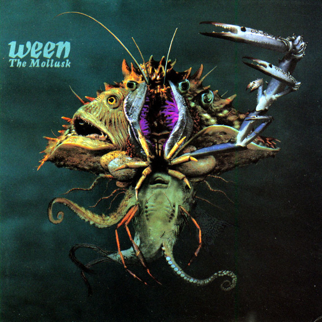 Fender Stratocaster Electric Guitar as heard on The Mollusk by Ween (1997)