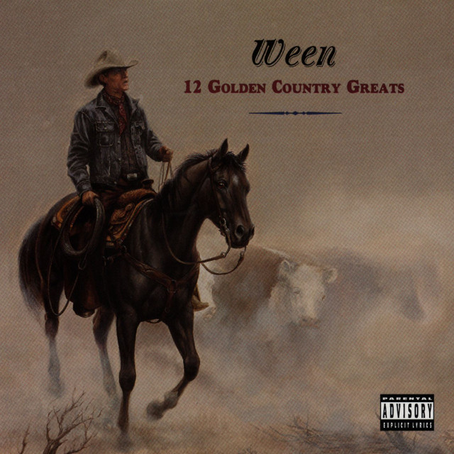 Fender Stratocaster Electric Guitar as heard on 12 Golden Country Greats by Ween (1996)