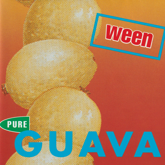 Alesis HR-16 as heard on Pure Guava by Ween (1992)