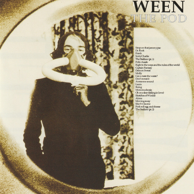 Alesis HR-16 as heard on The Pod by Ween (1991)