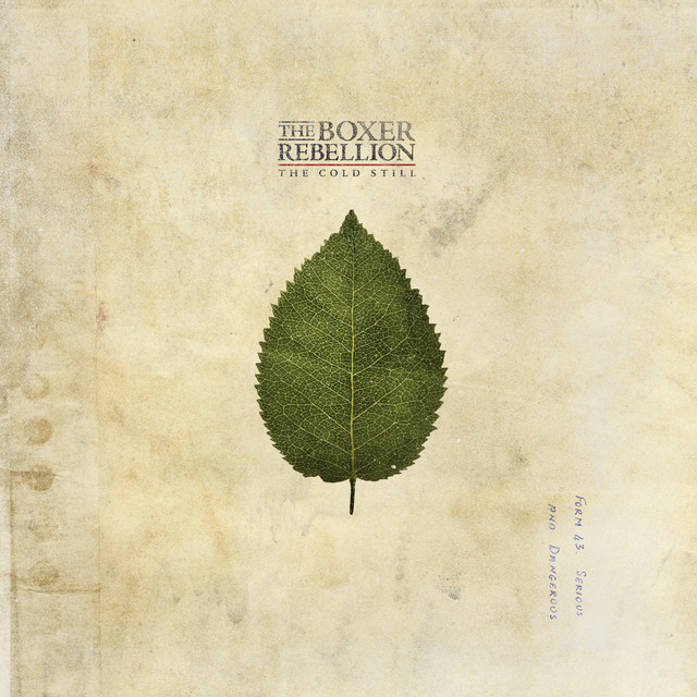 The Cold Still album cover