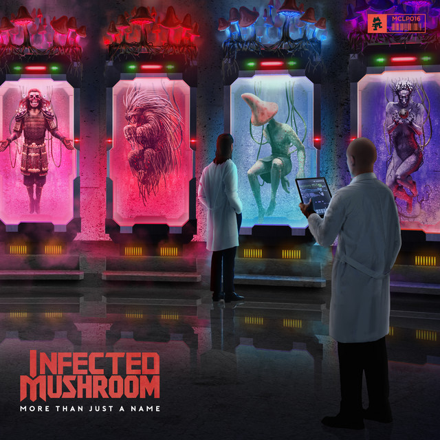 More than Just a Name album cover