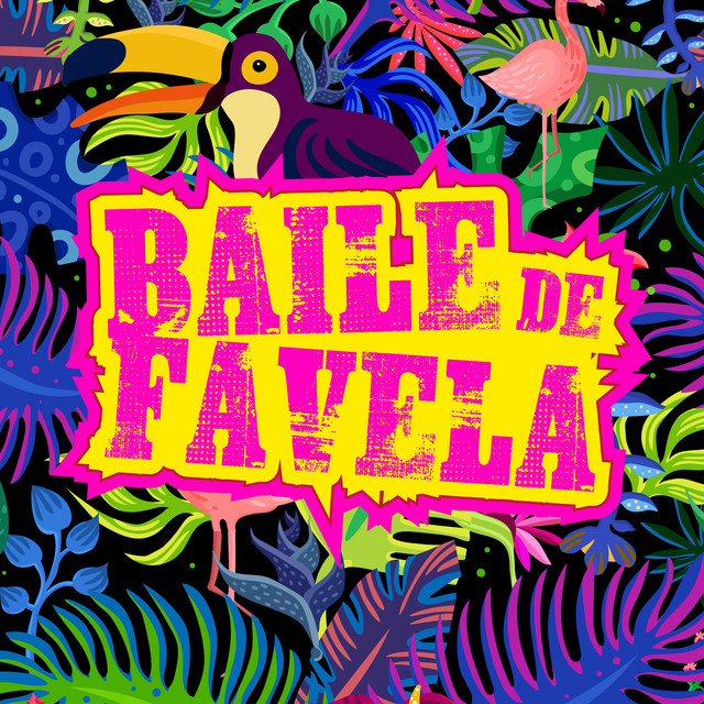 Baile de Favela album cover