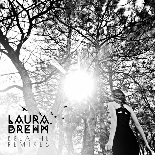 Image-Line FL Studio as heard on Parallel (Ephixa Remix - Instrumental) by Ephixa & Laura Brehm (2017)