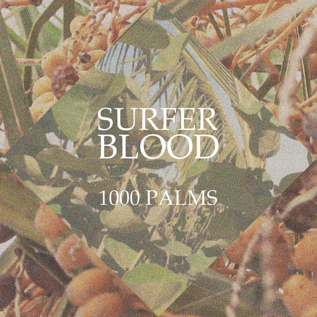 1000 Palms album cover