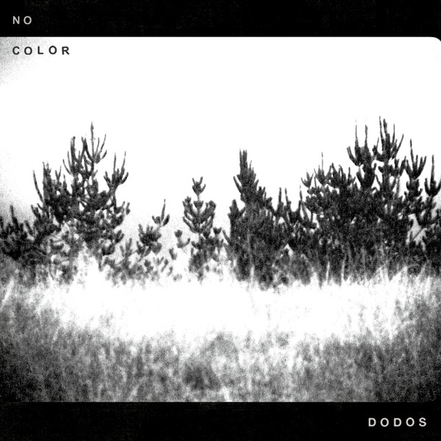No Color album cover