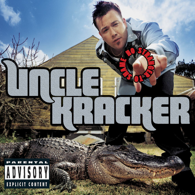 No Stranger to Shame album cover
