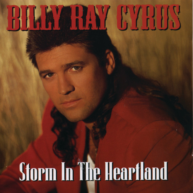 Storm In The Heartland album cover