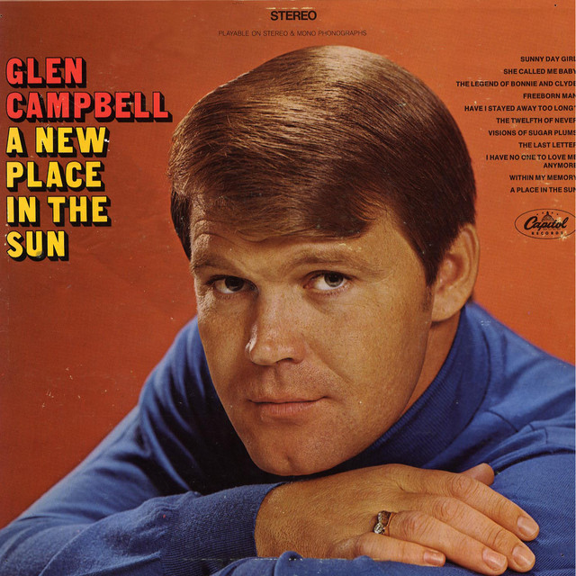 A New Place In The Sun album cover