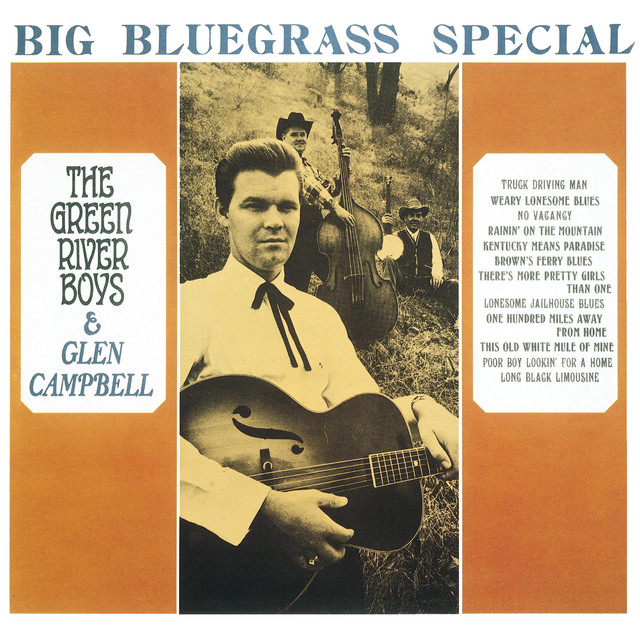 Big Bluegrass Special album cover
