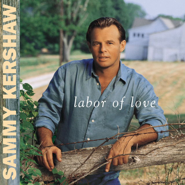 Labor Of Love album cover