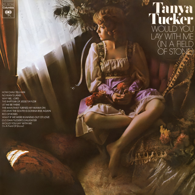 Would You Lay With Me (In a Field of Stone) album cover