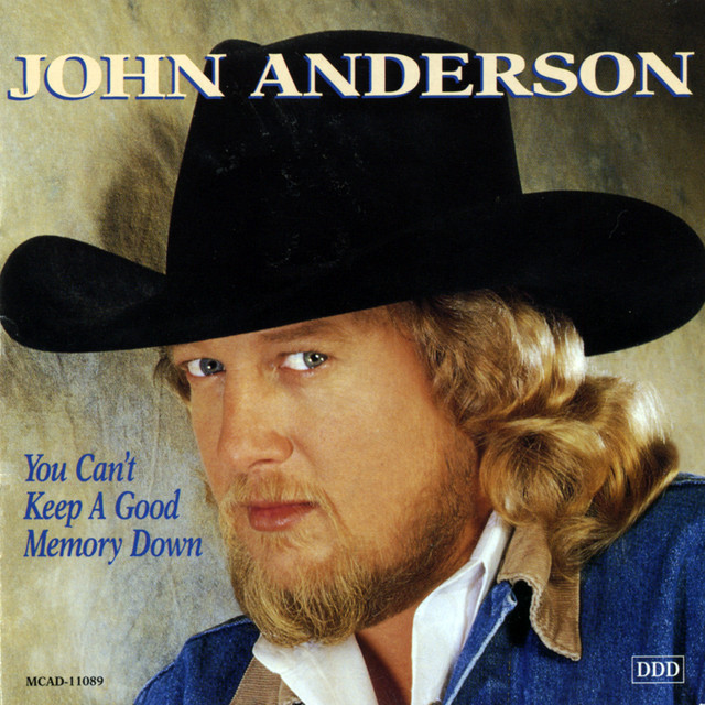 You Can't Keep A Good Memory Down album cover