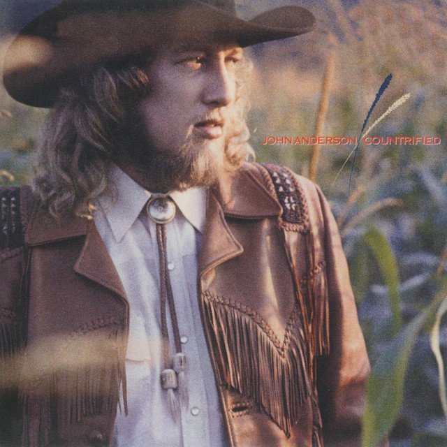 Countrified album cover