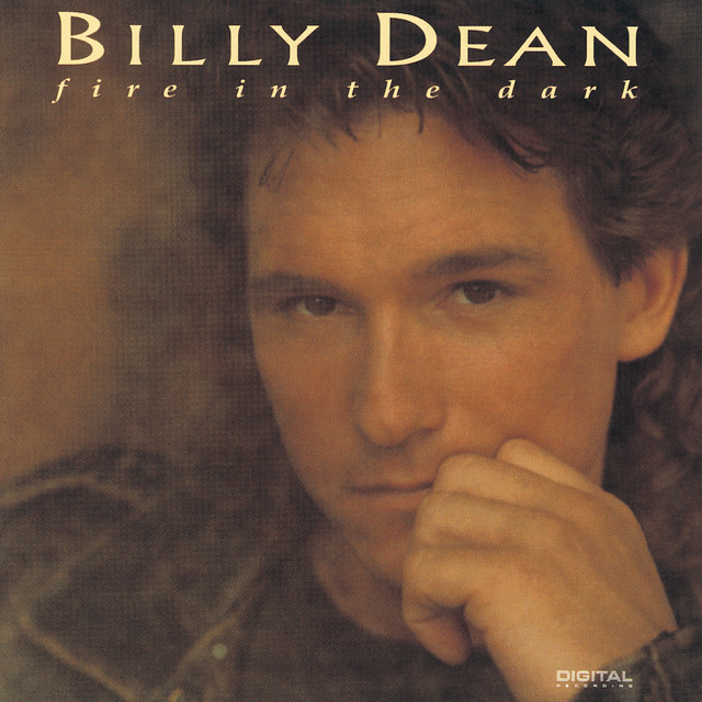 Fire In The Dark album cover