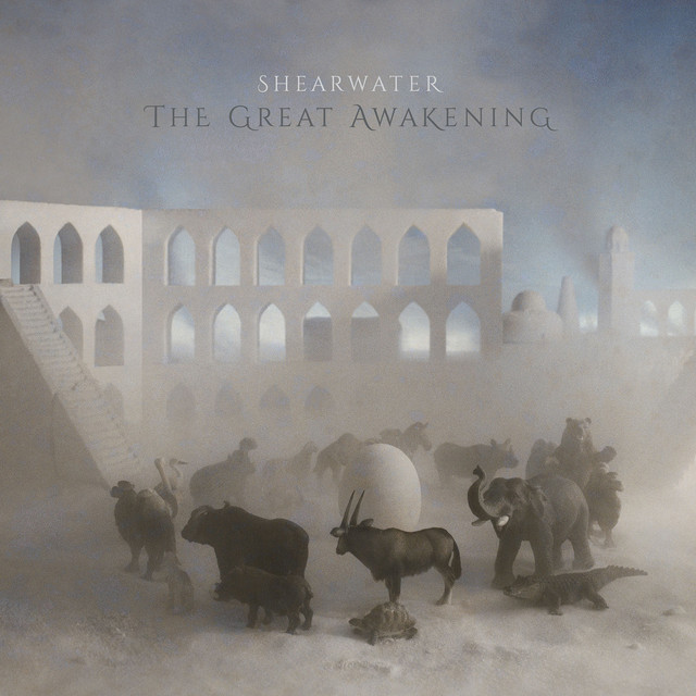 The Great Awakening album cover