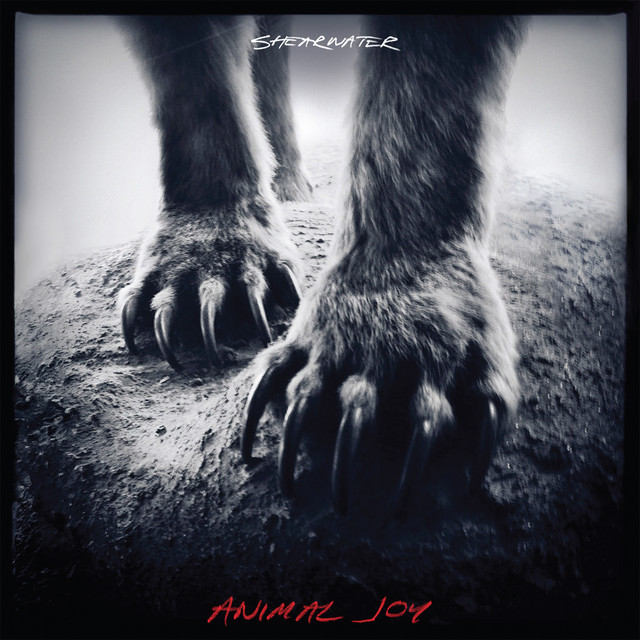 Animal Joy album cover