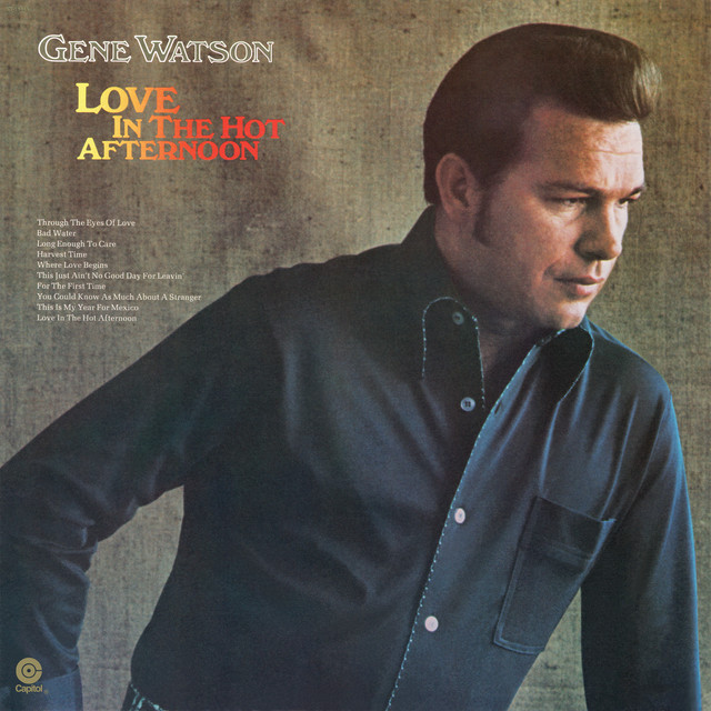 Love In The Hot Afternoon album cover